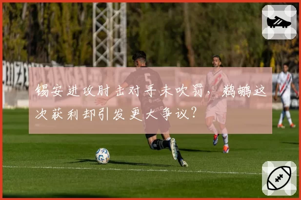 锡安进攻肘击对手未吹罚,鹈鹕这次获利却引发更大争议?